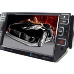 In Car DVD Players